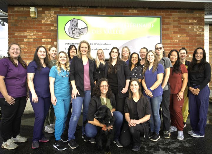 Photo d'équipe Clinique Vétérinaire des Vallées