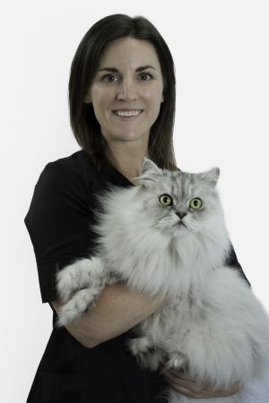 Maude Briand-L.  Veterinary Maude Briand-L.  Veterinary