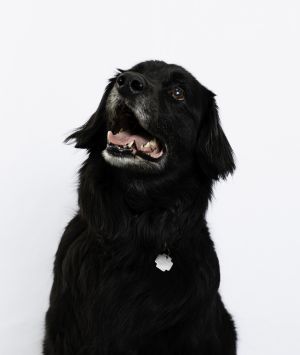 Étudiantes embauchées et stagiaires Personnel en formation Étudiantes embauchées et stagiaires Personnel en formation